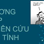 phuong phap nghien cuu dinh tinh